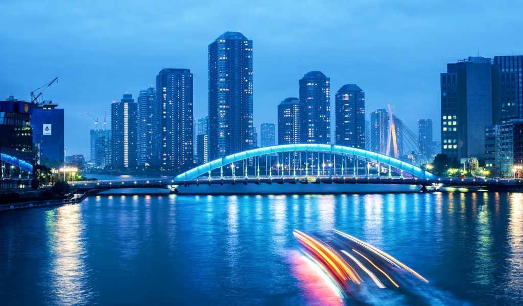 Tokyo Night Bridge Landscape for 1024 x 600 widescreen resolution
