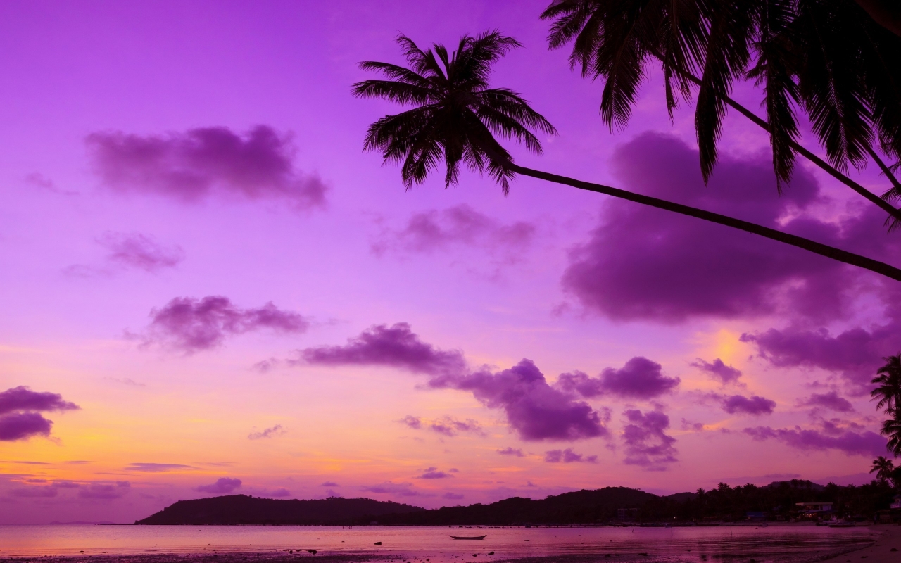 Tropical Paradise  for 1280 x 800 widescreen resolution
