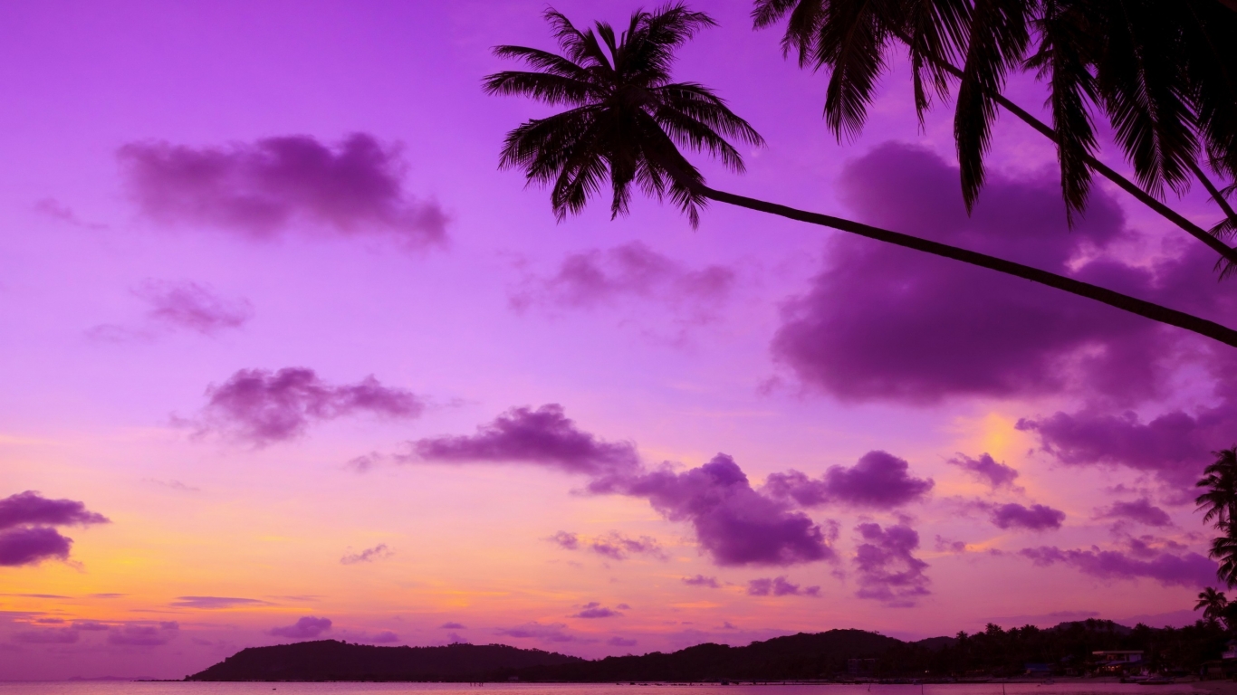 Tropical Paradise  for 1366 x 768 HDTV resolution