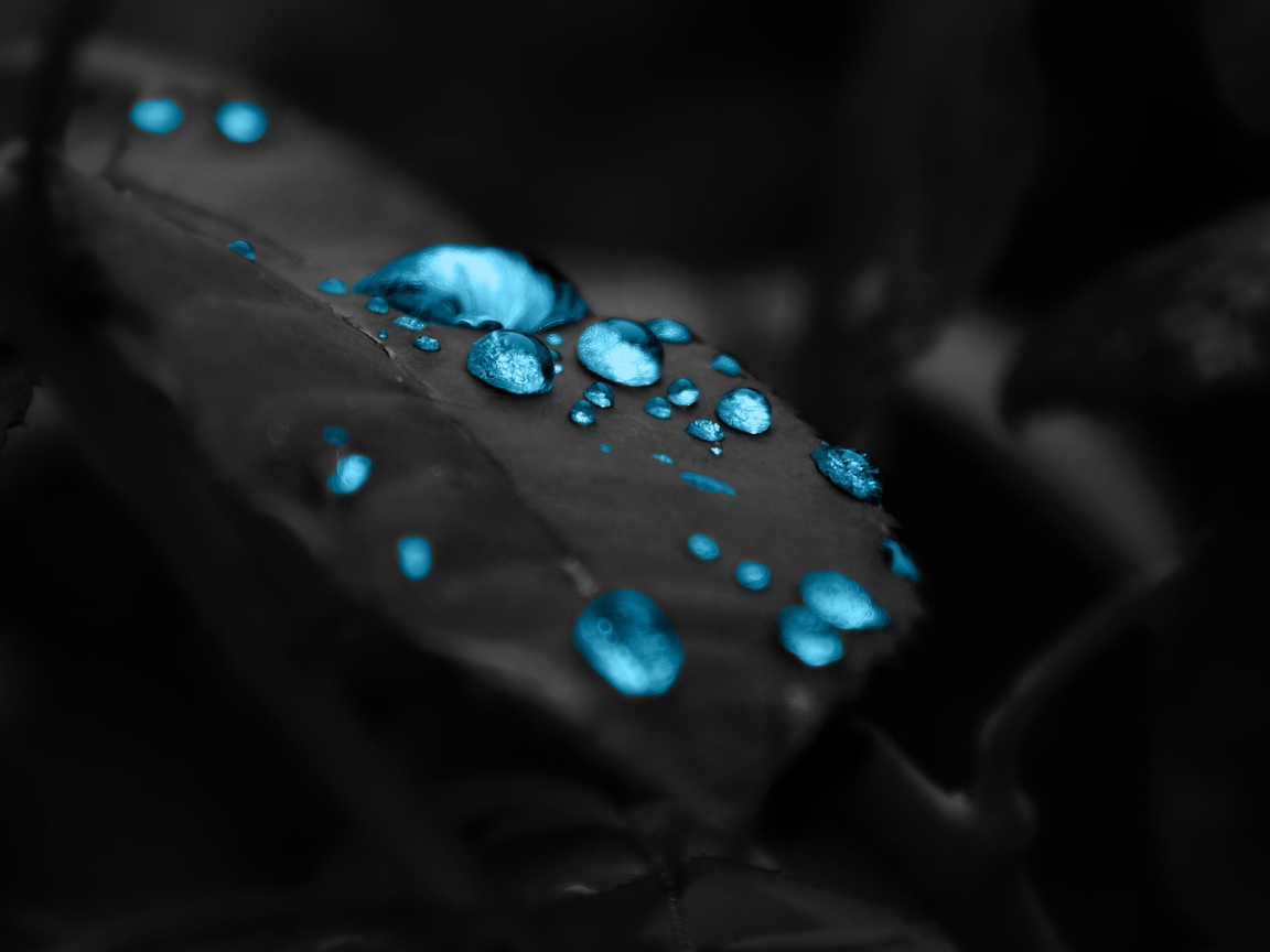Turquoise Water Drops for 1152 x 864 resolution