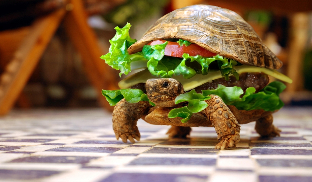 Turtle Hamburger for 1024 x 600 widescreen resolution