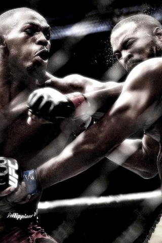 UFC for 320 x 480 iPhone resolution