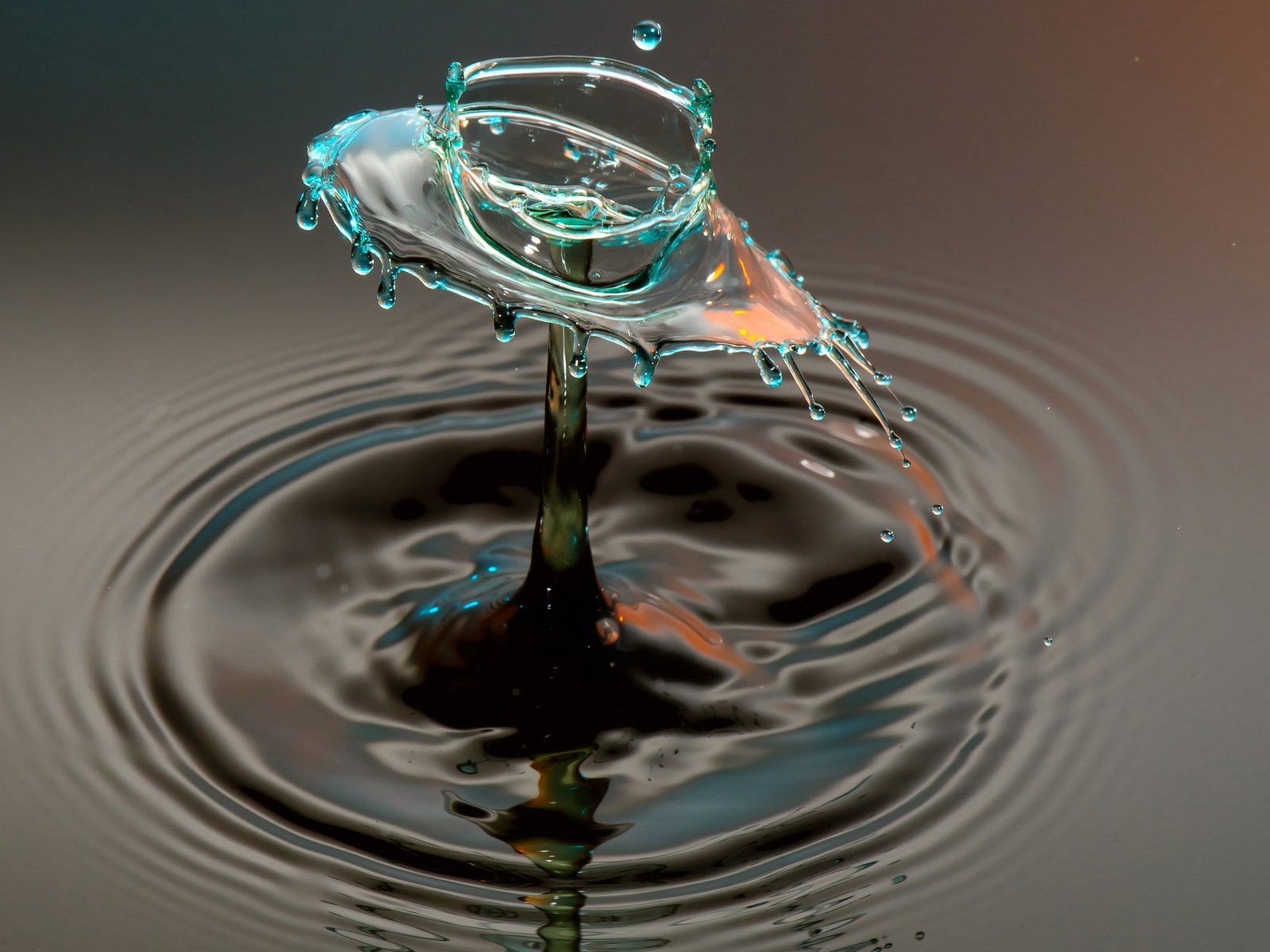 Water Splash for 1600 x 1200 resolution