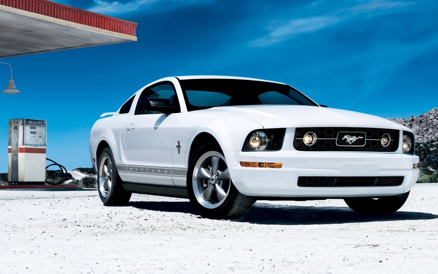 White Mustang for 1440 x 900 widescreen resolution