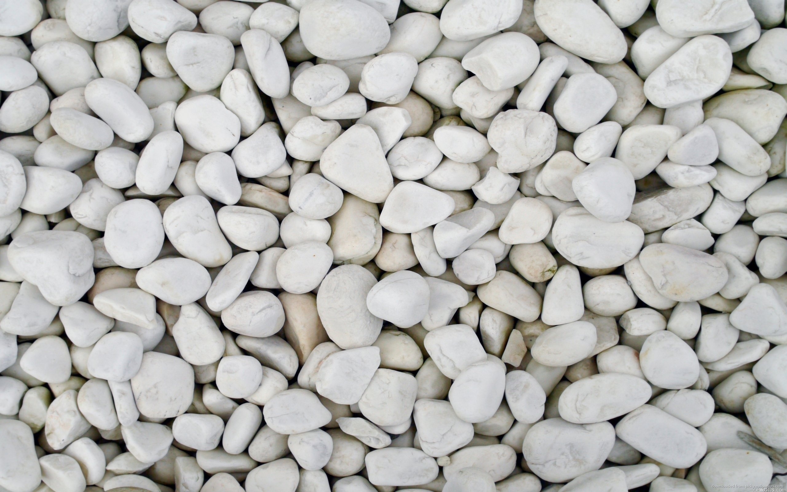 White Pebbles for 2560 x 1600 widescreen resolution
