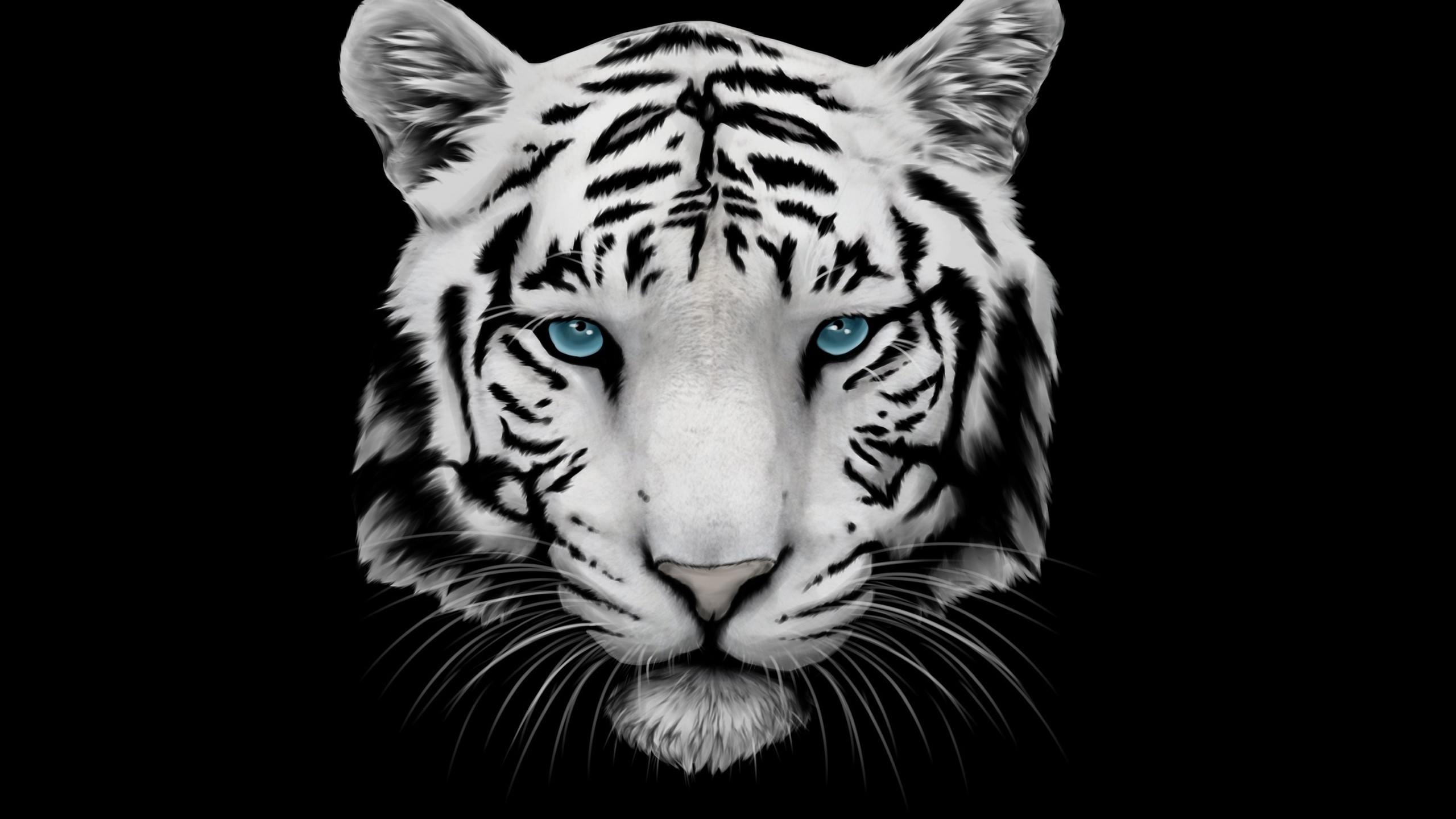 White Tiger and Blue Eyes for 2560x1440 HDTV resolution