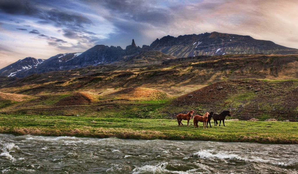 Wild Horses for 1024 x 600 widescreen resolution