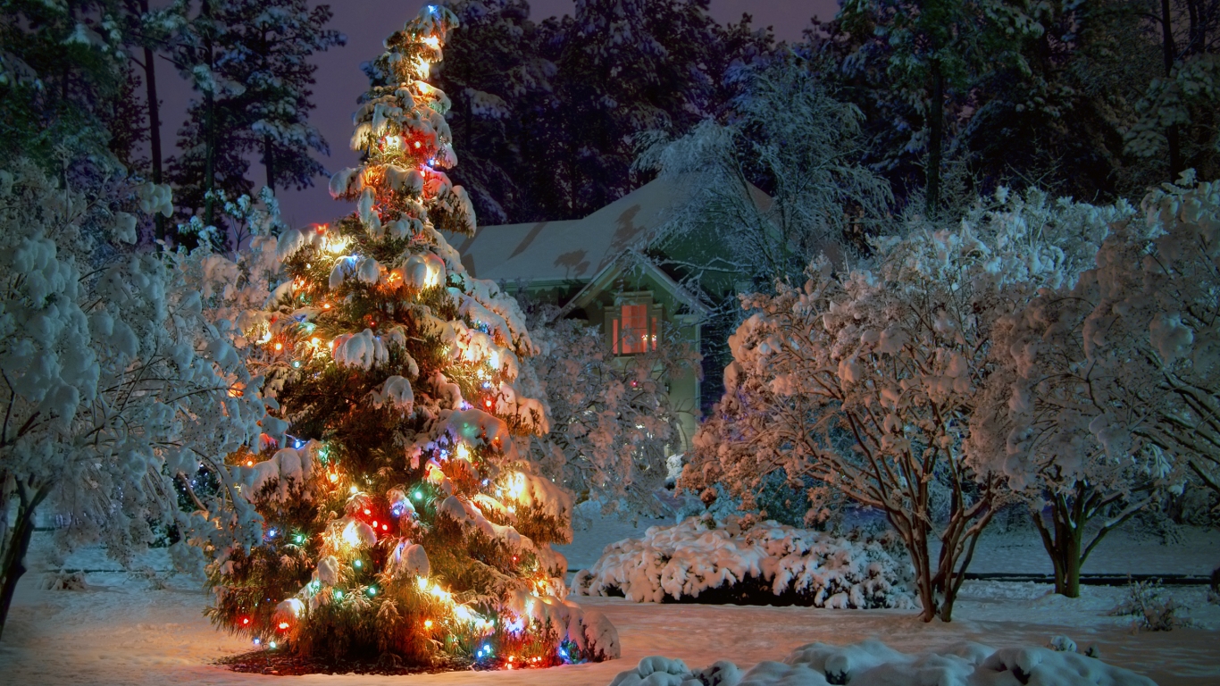 Winter Christmas Tree for 1366 x 768 HDTV resolution