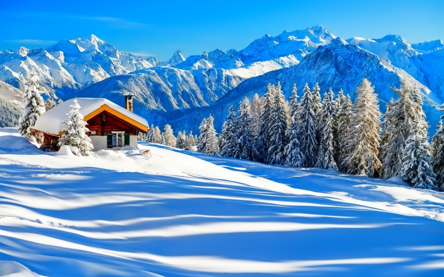 Winter Dreaming Place for 1440 x 900 widescreen resolution