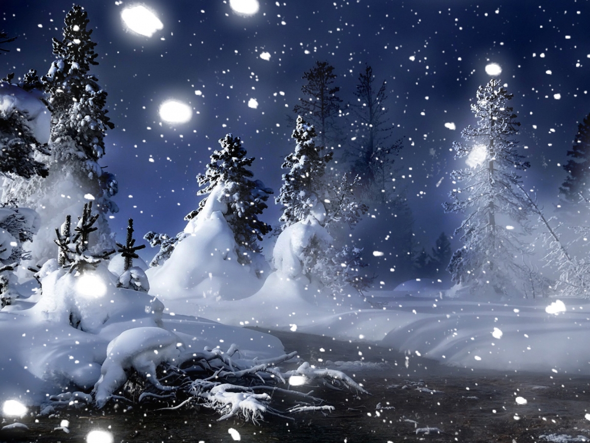 Winter Night in Park for 1152 x 864 resolution
