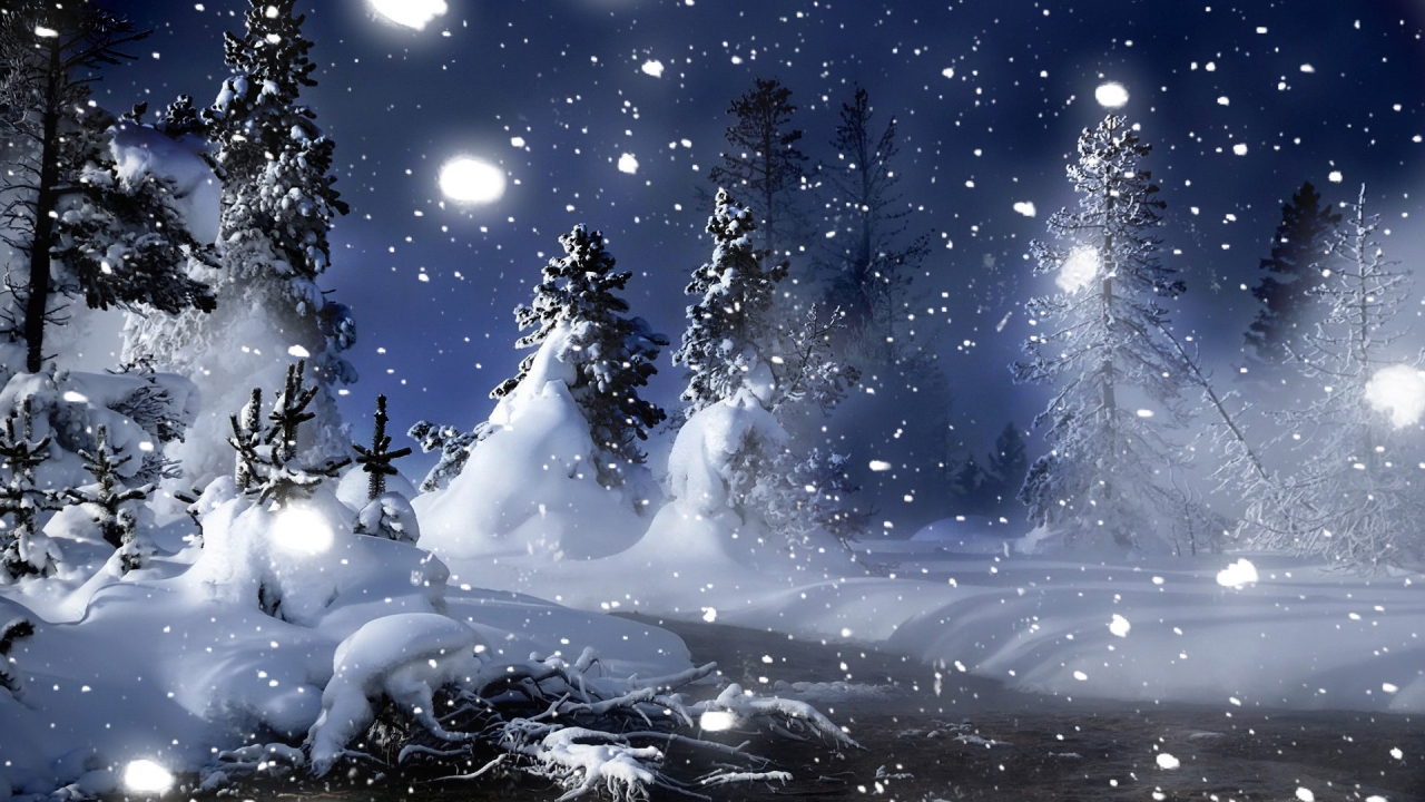 Winter Night in Park for 1280 x 720 HDTV 720p resolution