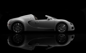 Bugatti Veyron 16.4 Grand Sport Production 2009 Version - Side Topless wallpaper