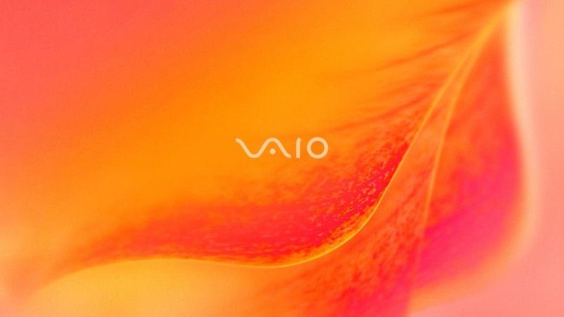 Sony Vaio Orange blossom wallpaper