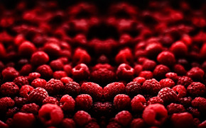 Blood Fruit wallpaper