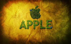 Apple and Butterfly wallpaper