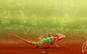 Great Chameleon wallpaper