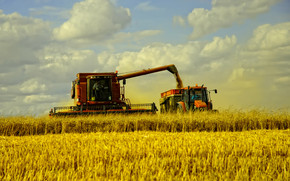 Time for wheat harvest wallpaper