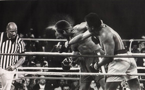 Muhammad Ali Hit wallpaper