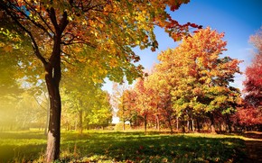 Colorful Autumn Landscape wallpaper