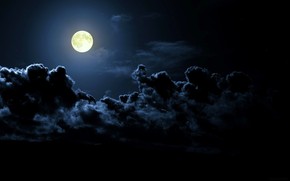 Full Moon Night wallpaper