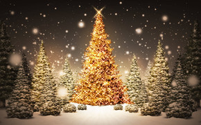 Christmas Trees wallpaper
