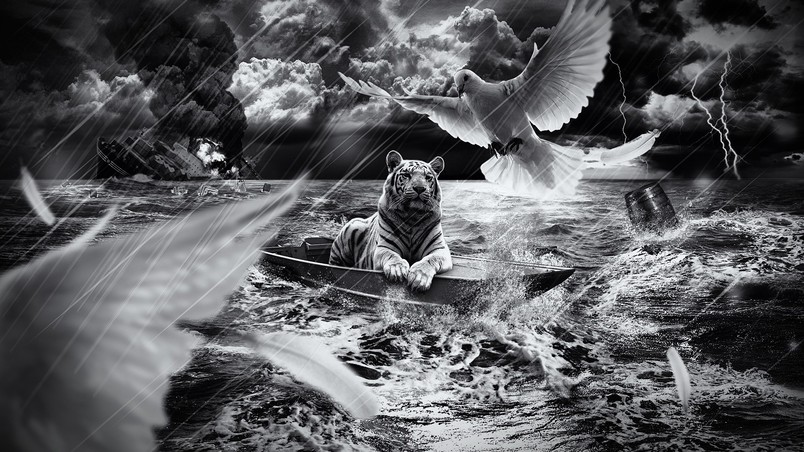 Tiger in a Boat wallpaper