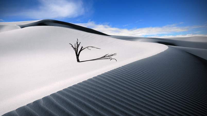 The Lonesome Dune HD Wallpaper - WallpaperFX