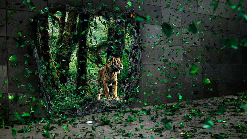 Brave tigre apparition wallpaper