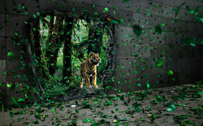 Brave tigre apparition wallpaper
