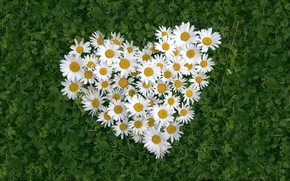 Flower Heart wallpaper