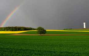 Green Fields and Rainbow wallpaper