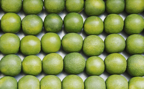 Just Lime wallpaper
