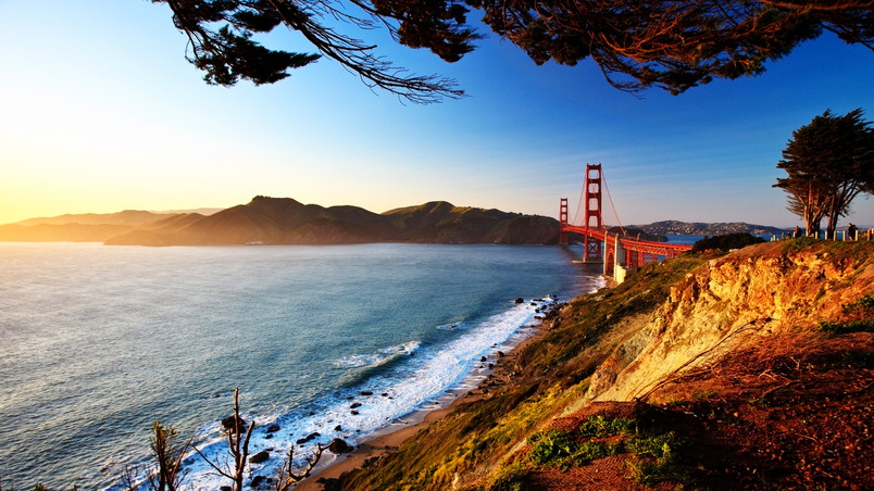 San Francisco Bridge View wallpaper
