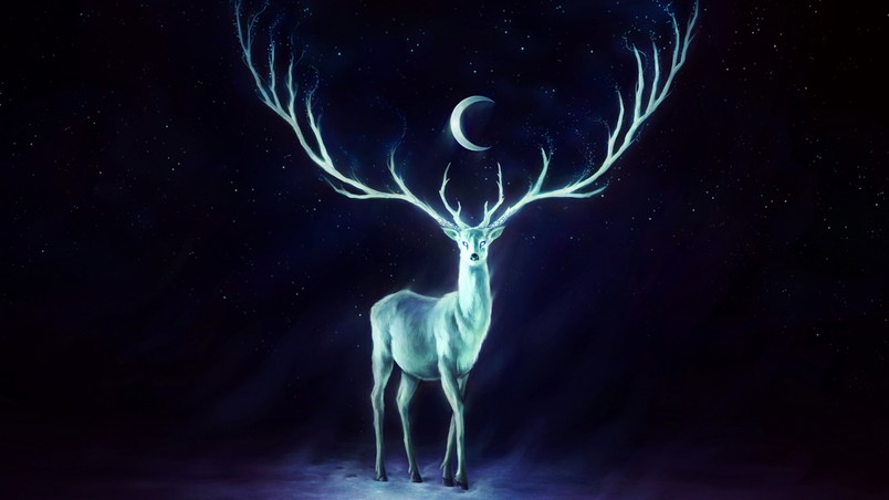 White Deer wallpaper