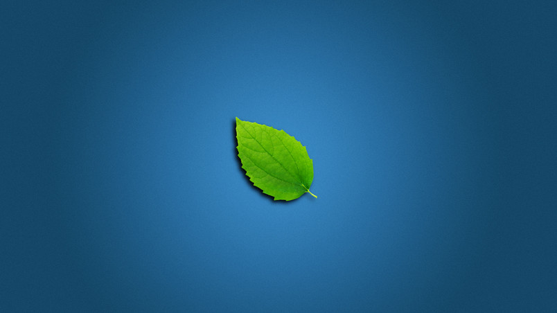 Lonely Leaf wallpaper