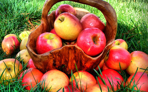 Natural Apples wallpaper