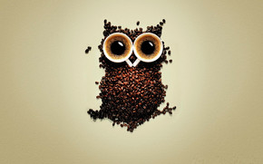 Funny Coffee Owl wallpaper