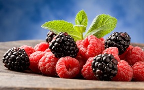 Sweet Berries wallpaper