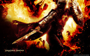 Dragons Dogma Fighter wallpaper