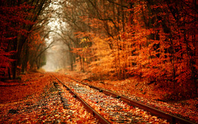 Leaves Over Railway wallpaper