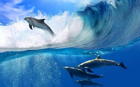 Dolphins Swimming wallpaper