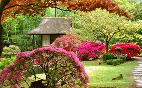 Spring Japanese Garden wallpaper