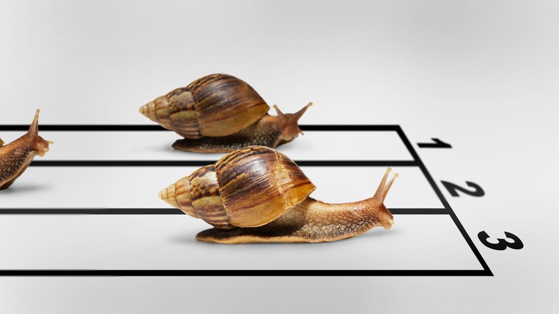 Snail Race wallpaper