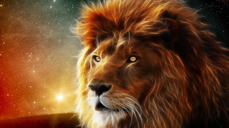 Lion Portrait wallpaper