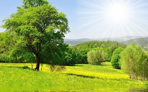 Bright Spring Landscape wallpaper