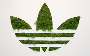 Adidas Green Logo wallpaper