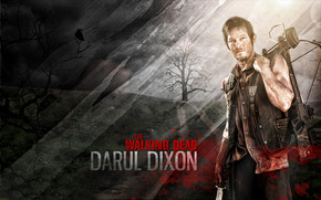 The Walking Dead Daryl Dixon wallpaper