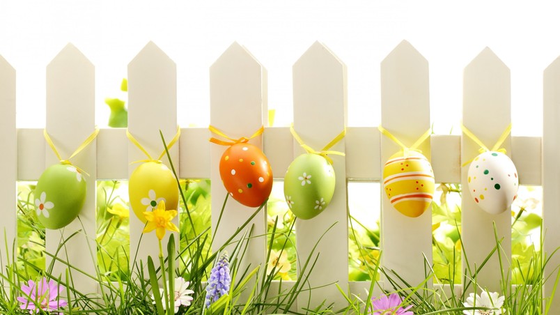 Lovely Easter Eggs Decoration wallpaper
