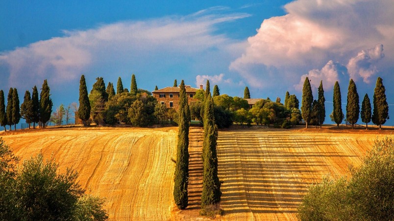Sienna Tuscany wallpaper