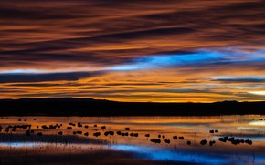 New Mexico Sunset Reflection wallpaper